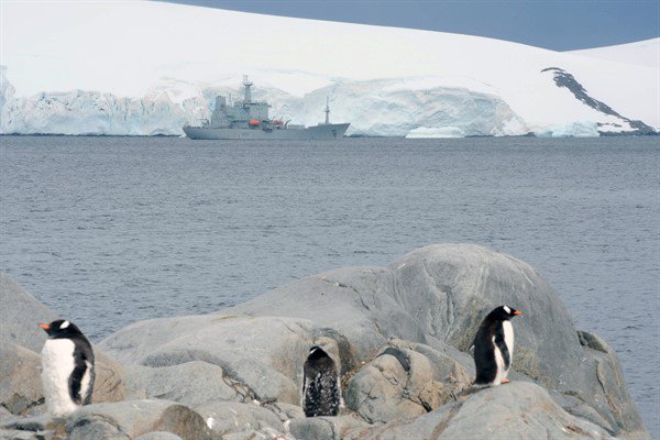 Penguins