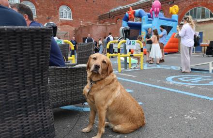 CSG Fmailies day - dog sat on floor looking at camera. She is a light tan labrador