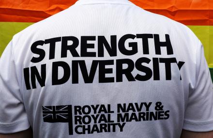 RNRMC Strength in Diversity