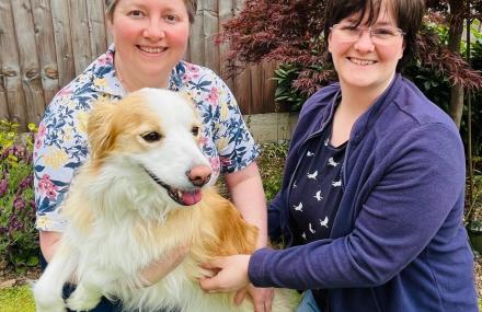 Team Pawsitivity